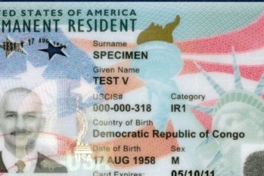 greencard, грин карта, как выглядит грин карта, как выглядит greencard