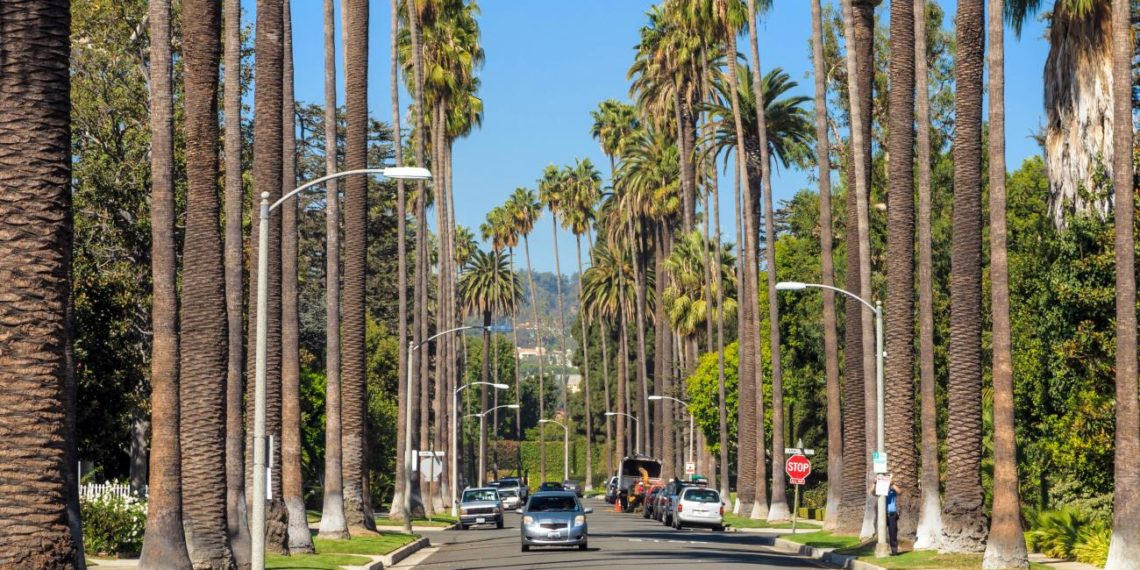 шансы выиграть грин карту в лотерее, грин кард лотерея шансы выиграть, шанси виграти грін карту в лотереї, які шанси виграти green card, какие шансы выиграть green card